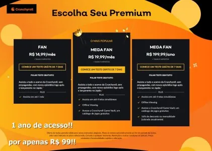 Anime 1 Ano de acesso Premium